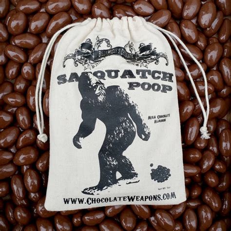 fake poos bag|sasquatch bag of poop.